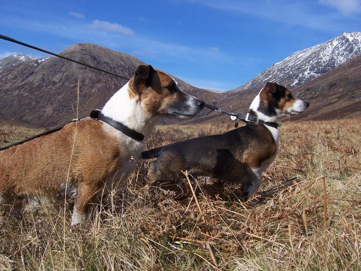 Tigh Mairi At Mary'S Thatched Cottages Elgol ภายนอก รูปภาพ